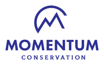Momentum Conservation